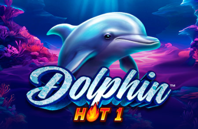 Dolphin Hot 1