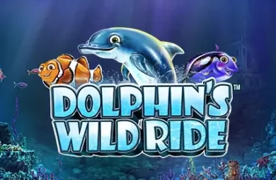 Dolphin's Wild Ride
