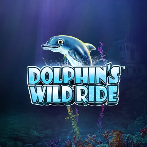 Dolphin's Wild Ride