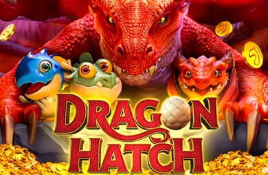 Dragon Hatch