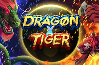 Dragon X Tiger