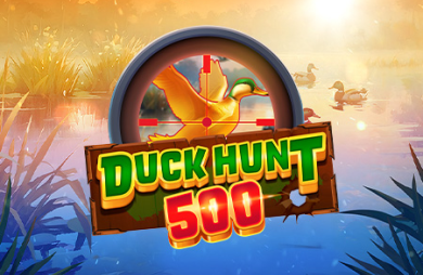 Duck Hunt 500
