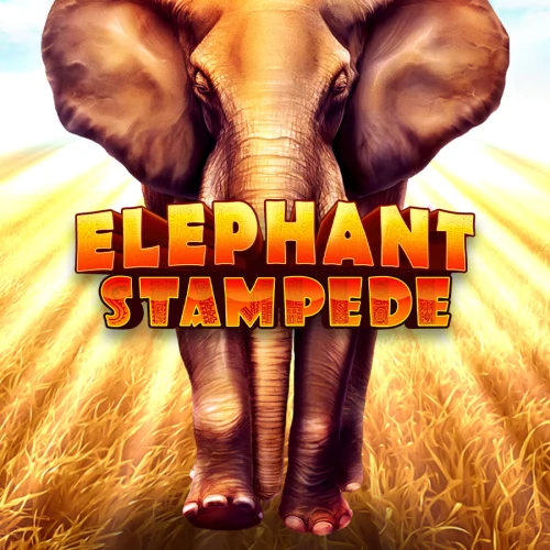 Elephant Stampede