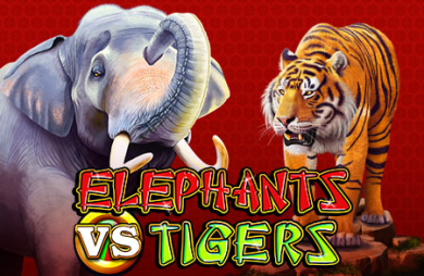 Elephants vs Tigers