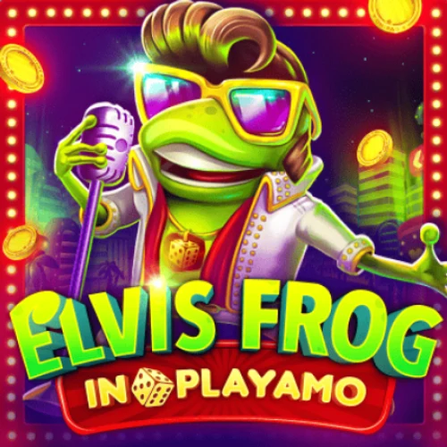 Elvis Frog In PlayAmo