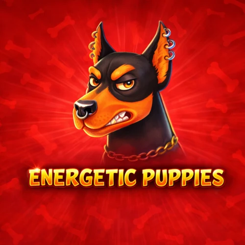 Energetic Puppies