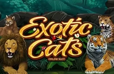 Exotic Cats
