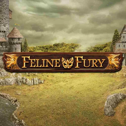 Feline Fury