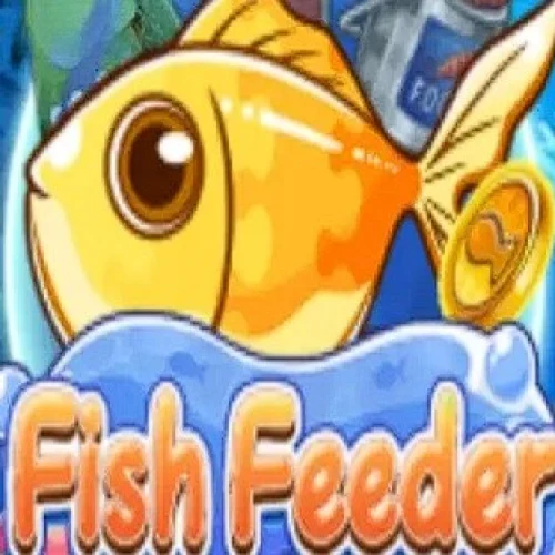 Fish Feeder