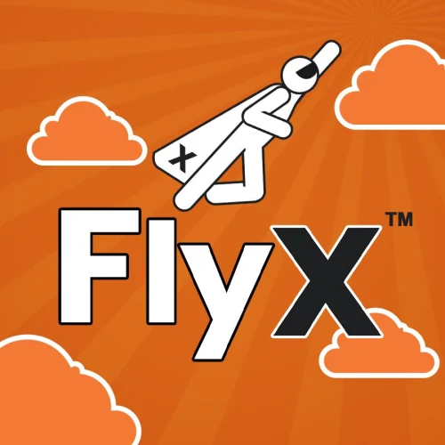 FlyX