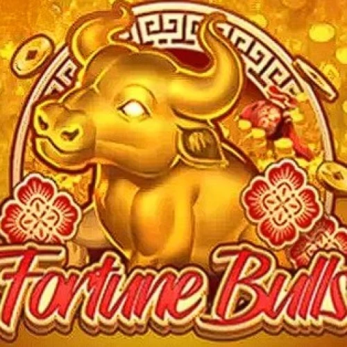 Fortune Bulls