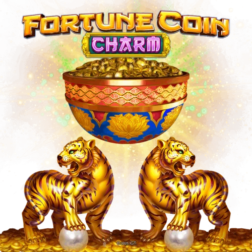 Fortune Coin Charm