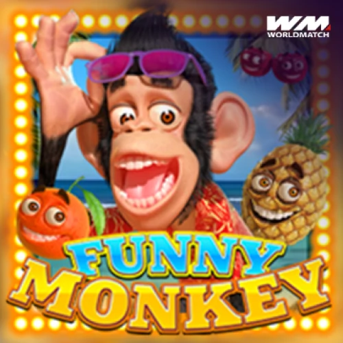 Funny Monkey