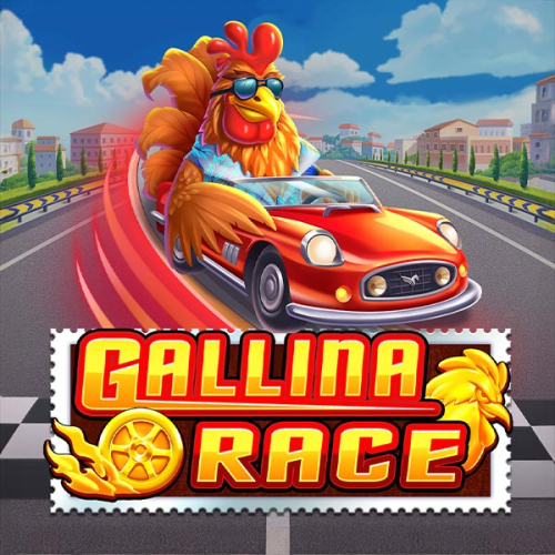 Gallina Race