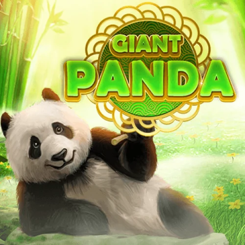 Giant Panda