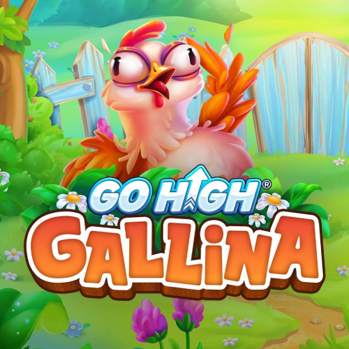 Go High Gallina