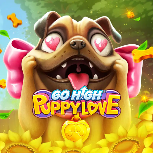Go High Puppy Love