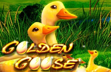 Golden Goose