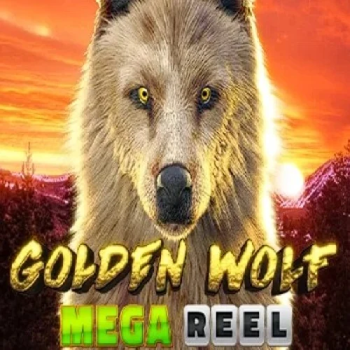 Golden Wolf Mega Reel