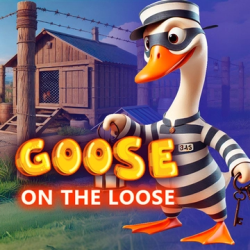 Goose on the loose