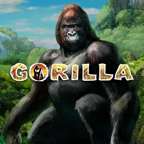 Gorilla