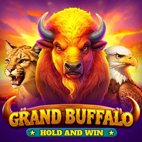 Grand Buffalo Hold & Win