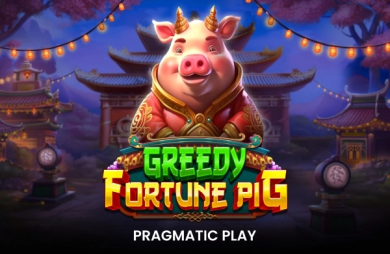 Greedy Fortune Pig