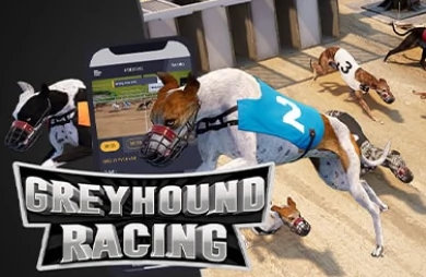 Greyhound Racing (Pragmatic Play)