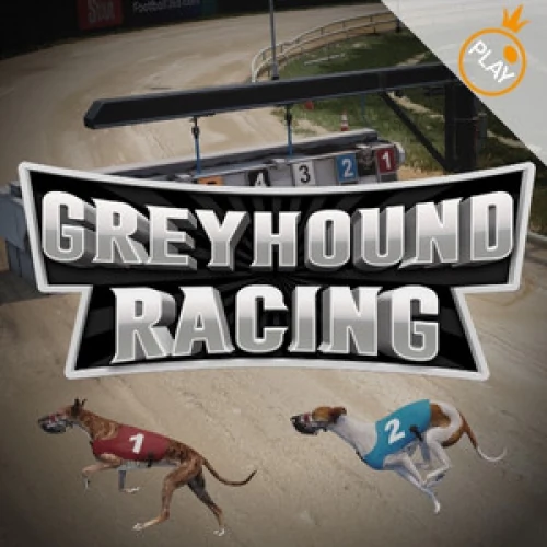 Greyhound Racing (Pragmatic Play)
