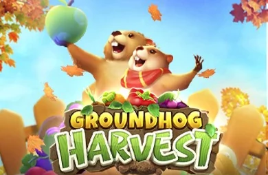 Groundhog Harvest