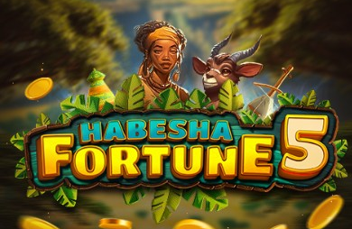 Habesha Fortune 5