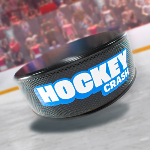 Hockey Crash