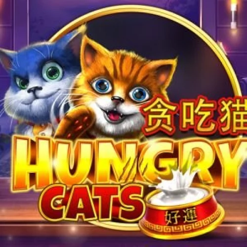 Hungry Cats