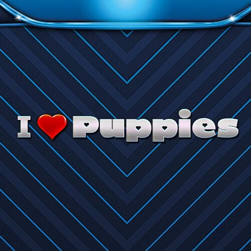 I Heart Puppies