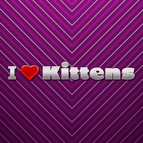 I Love Kittens