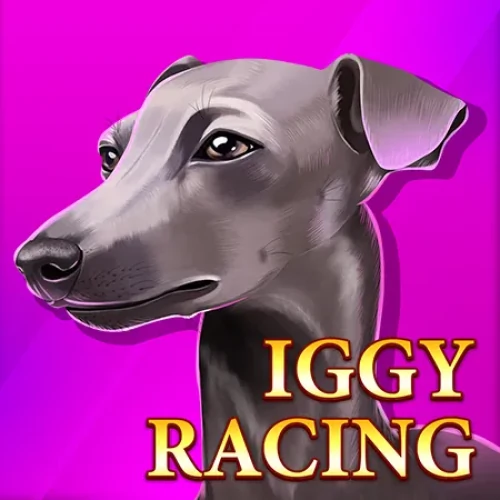 Iggy Racing