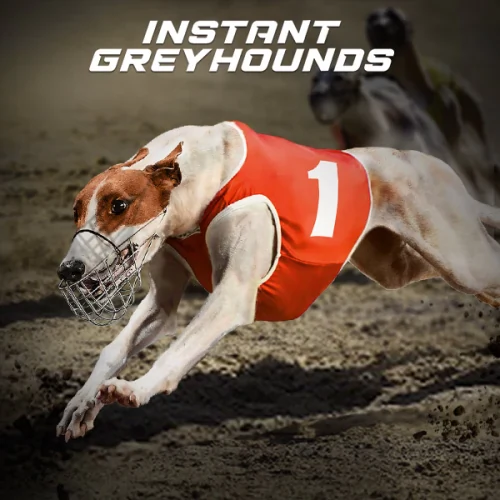 Instant Virtual Greyhounds