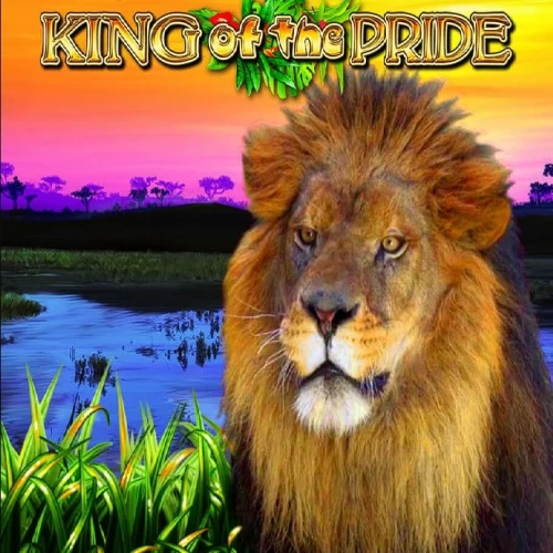 King of the Pride