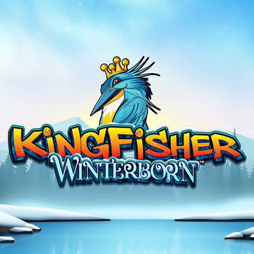 Kingfisher Winterborn