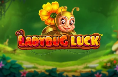 Ladybug Luck