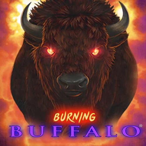 Link King Burning Buffalo