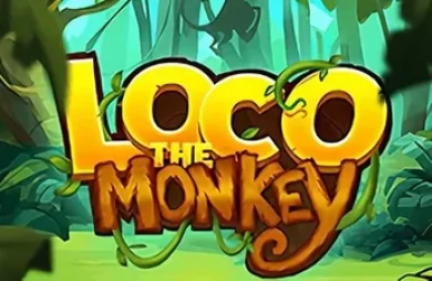 Loco the Monkey