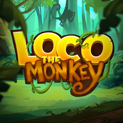 Loco the Monkey