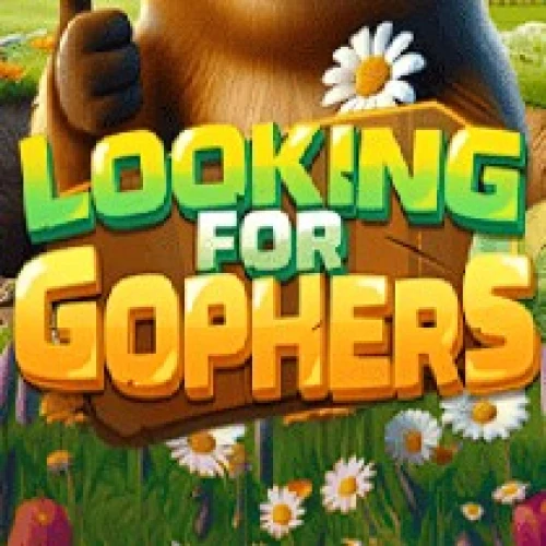 Looking For Gophers