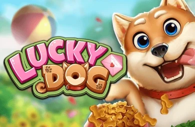 Lucky Dog (Bbin)