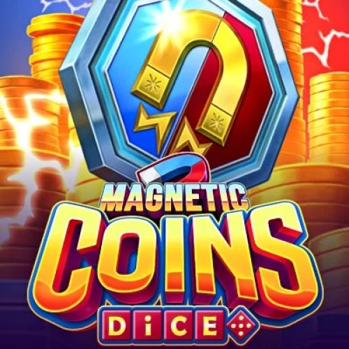 Magnetic Coins Dice