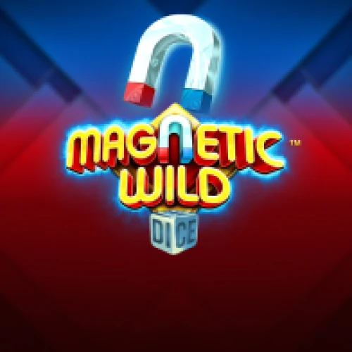 Magnetic Wild Dice