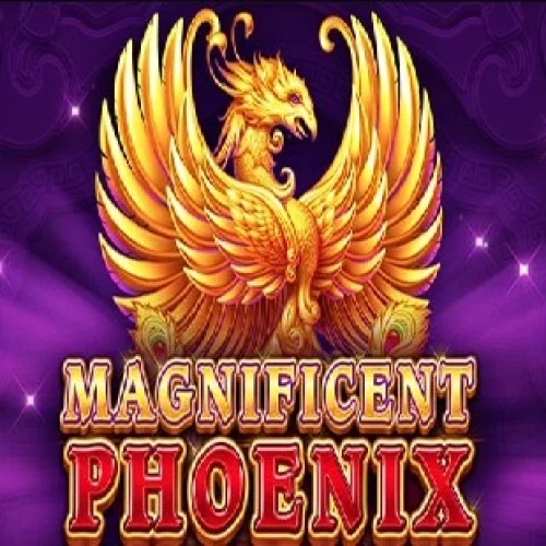 Magnificent Phoenix