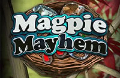Magpie Mayhem