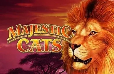 Majestic Cats